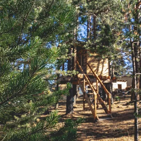Villa амрита Tsigov Chark