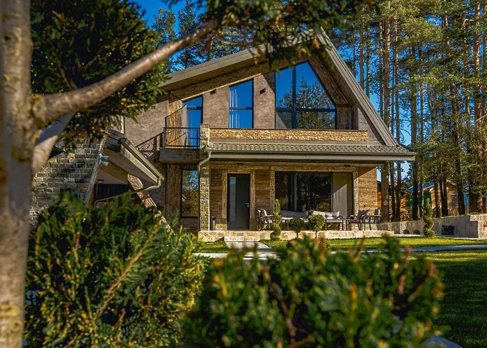 Willa амрита *