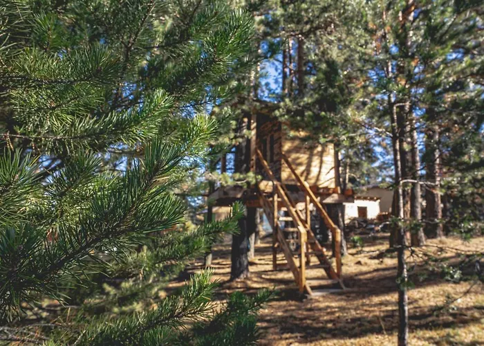 Willa амрита Tsigov Chark